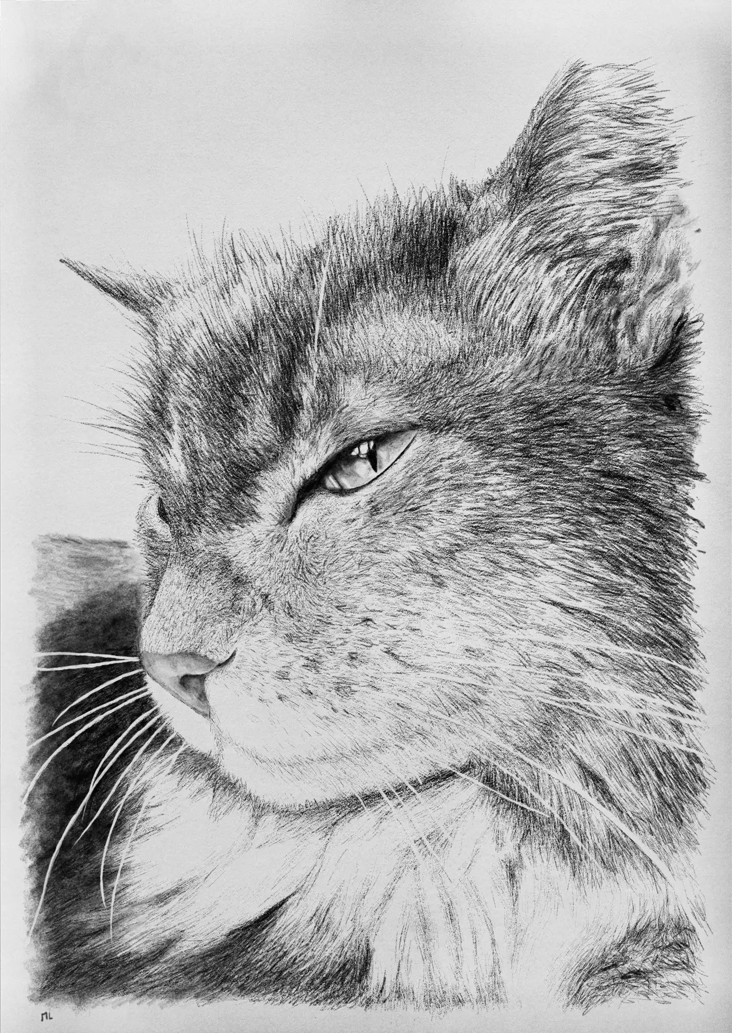 A portrait of my daughter's cat that I drew on my iPad.