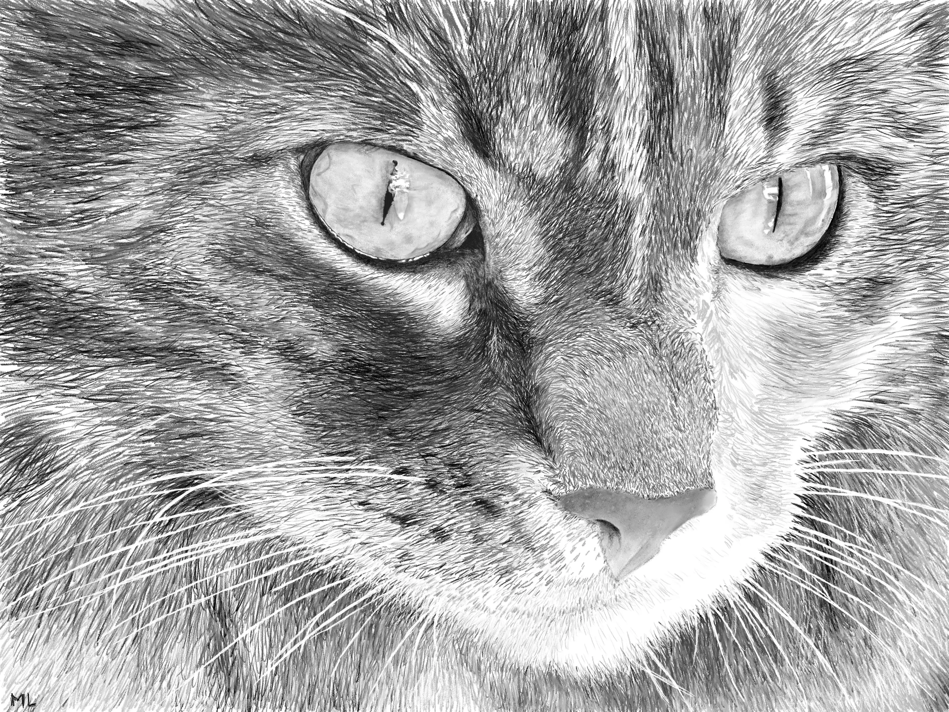 A drawing of a picture my son took that I drew on my iPad using the Procreate.